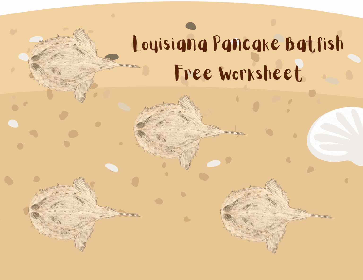 Louisiana Pancake Batfish Worksheet kid fun life